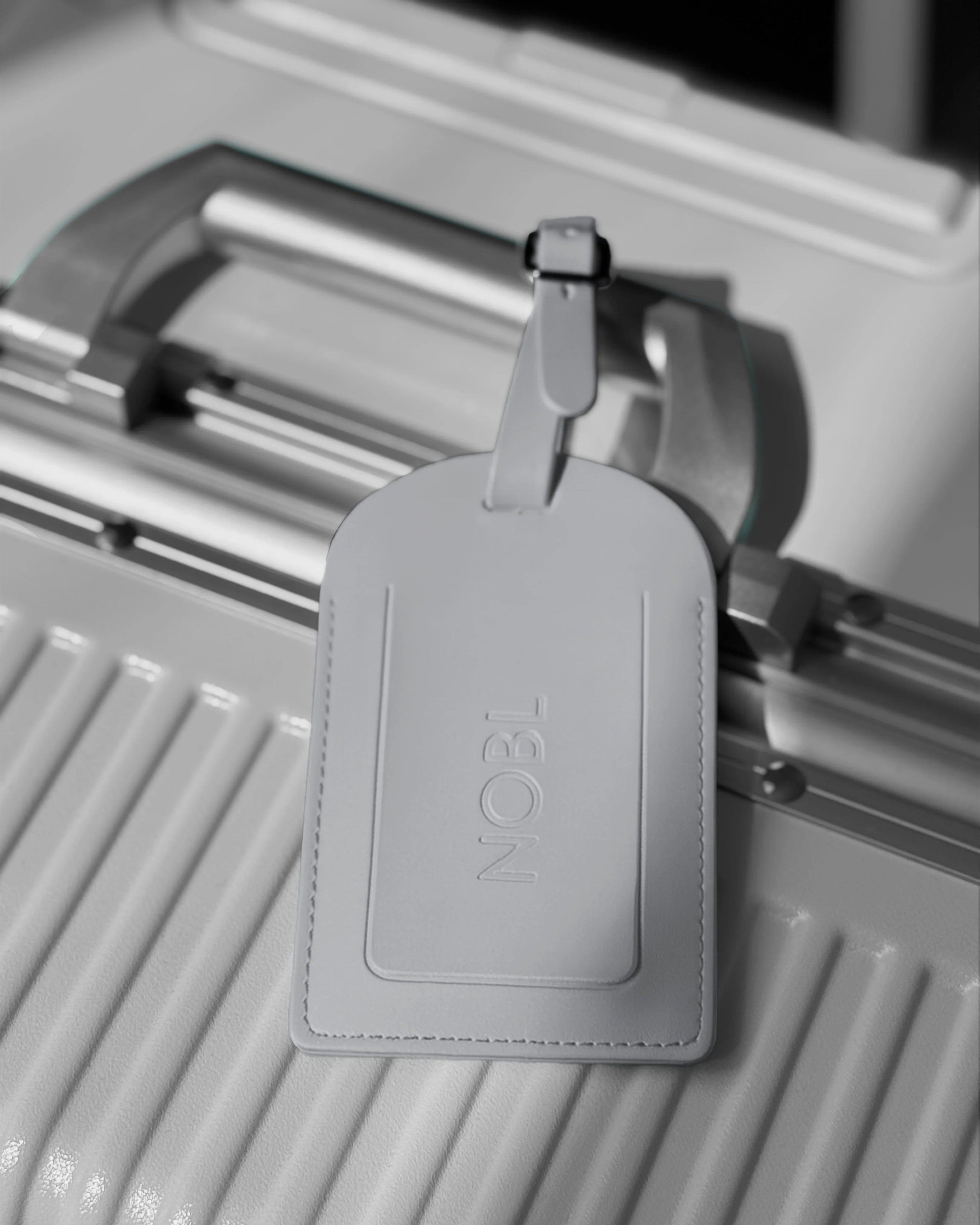 Leather Luggage Tag